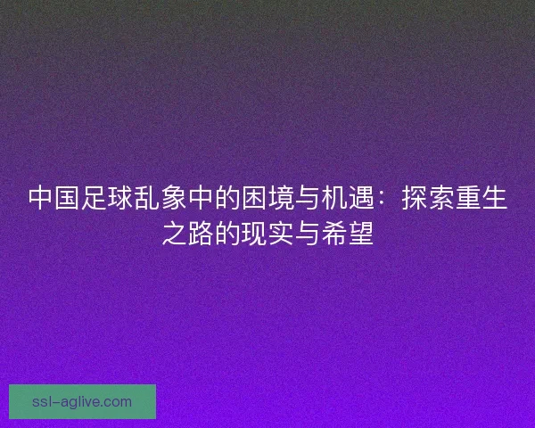 中国足球乱象中的困境与机遇：探索重生之路的现实与希望
